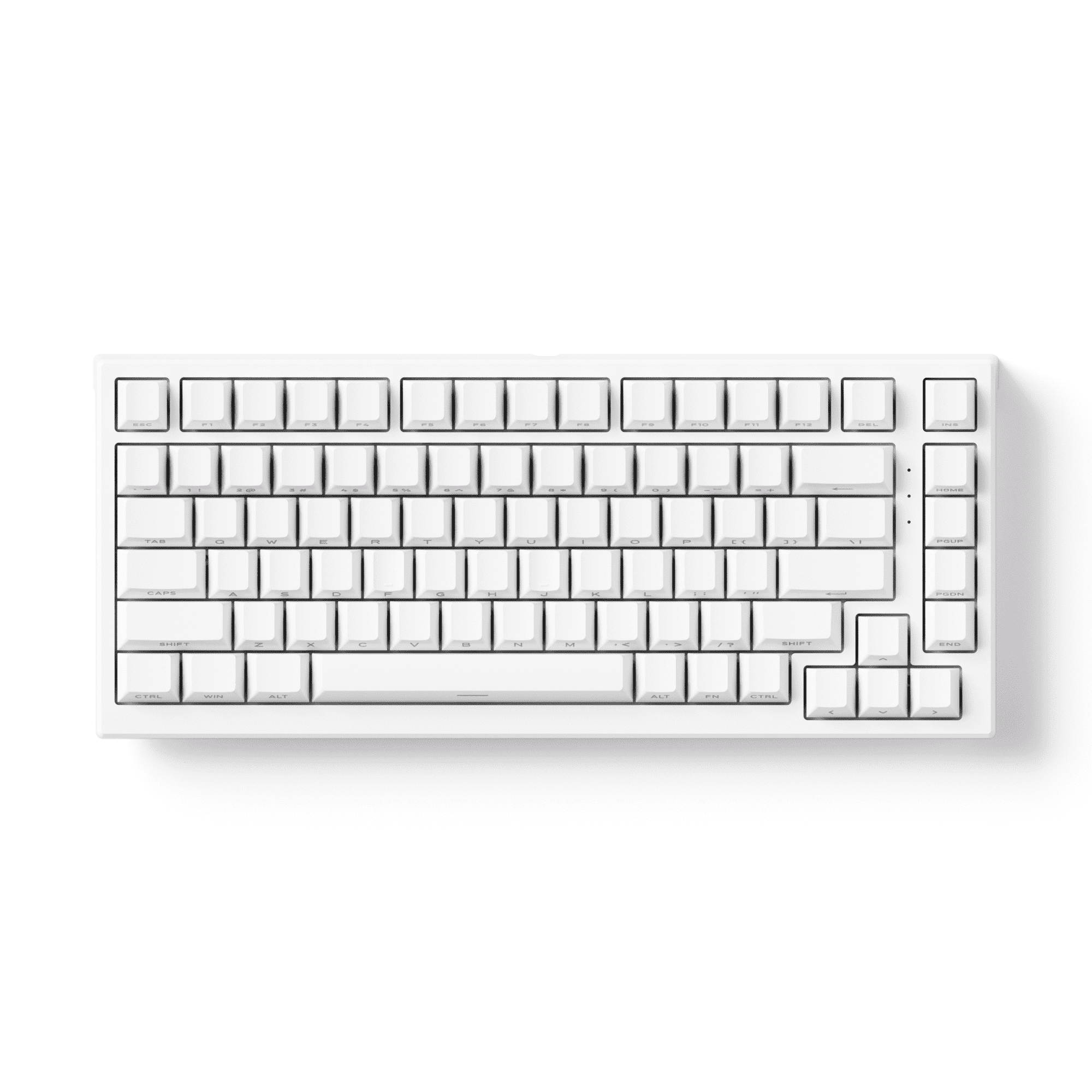 Akko TAC75 HE Shine Through White Front