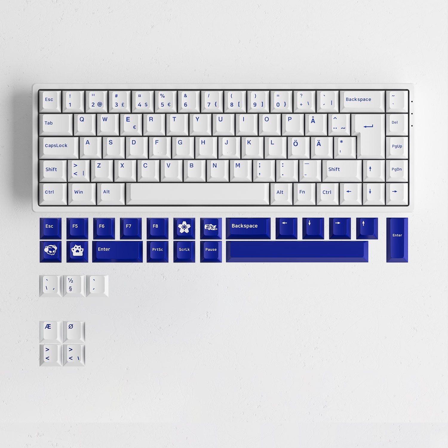 Blue on White ISO Nordic Keycap Set (76-key) Install on the Keyboard