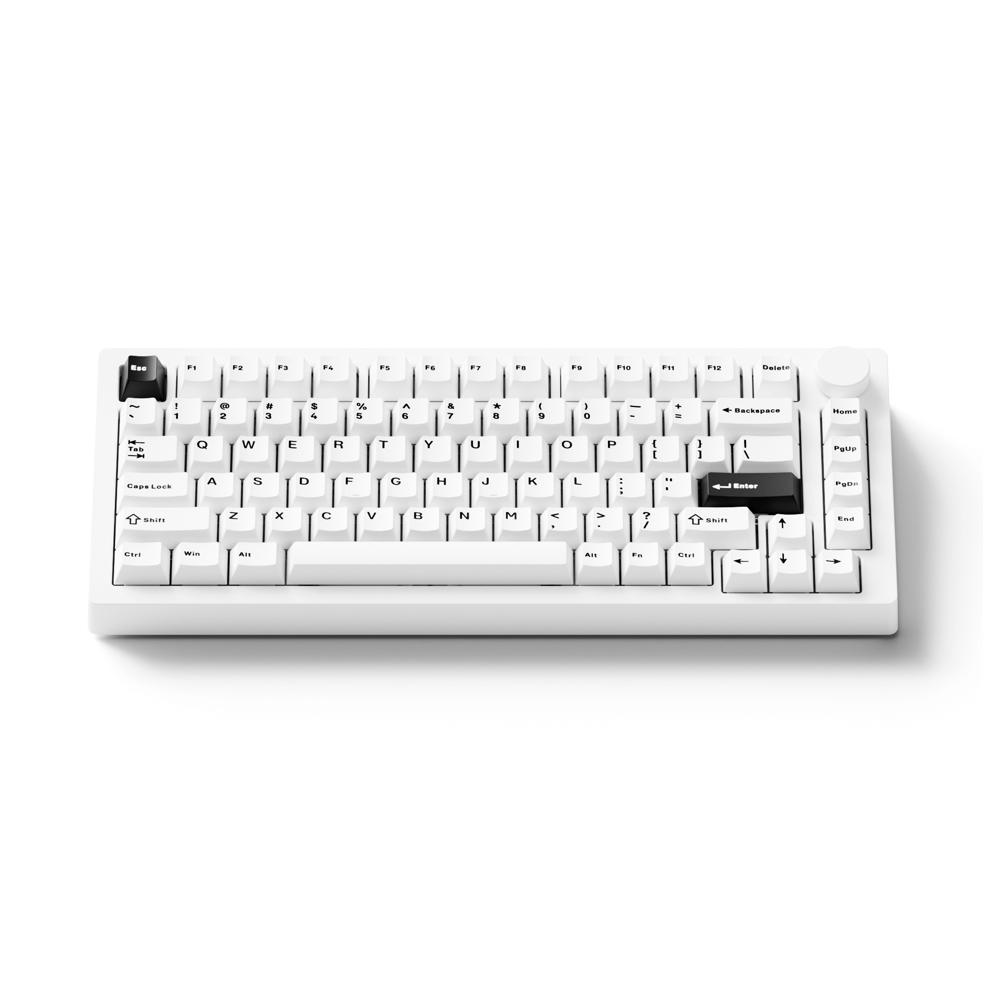 MonsGeek M1 V5- Black on White- Black & Silver