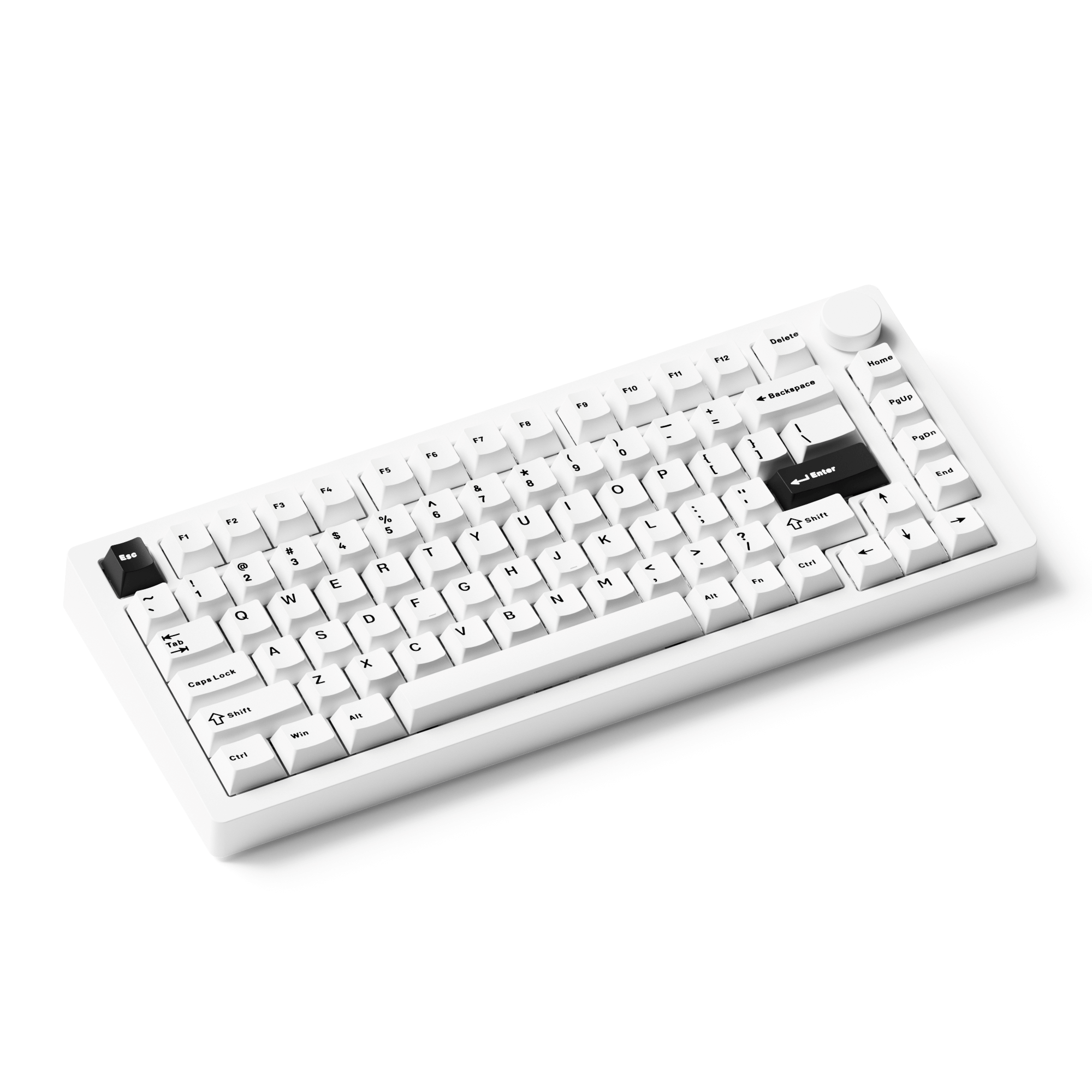 MonsGeek M1 V5- Black on White- Black & Silver