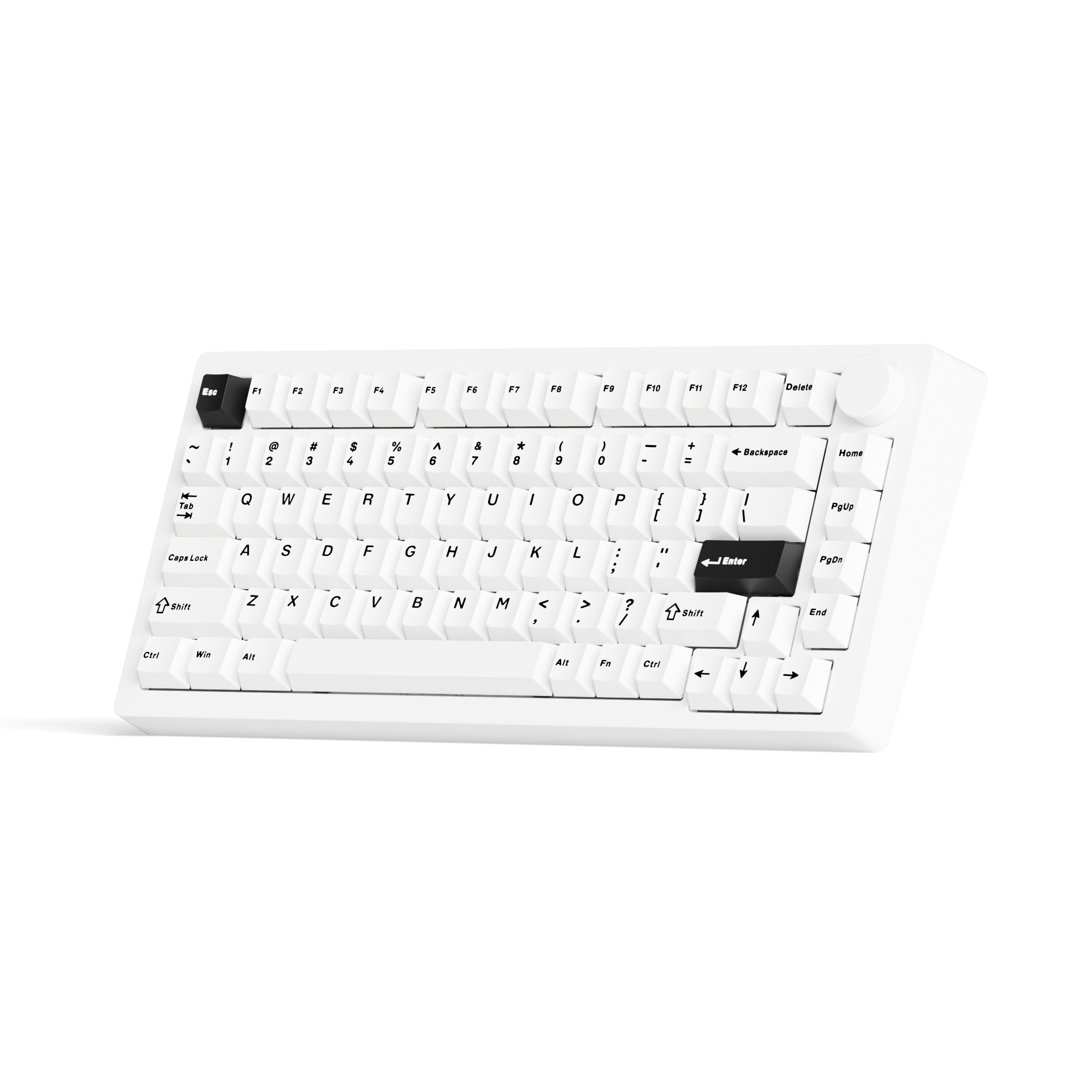 MonsGeek M1 V5- Black on White- Black & Silver