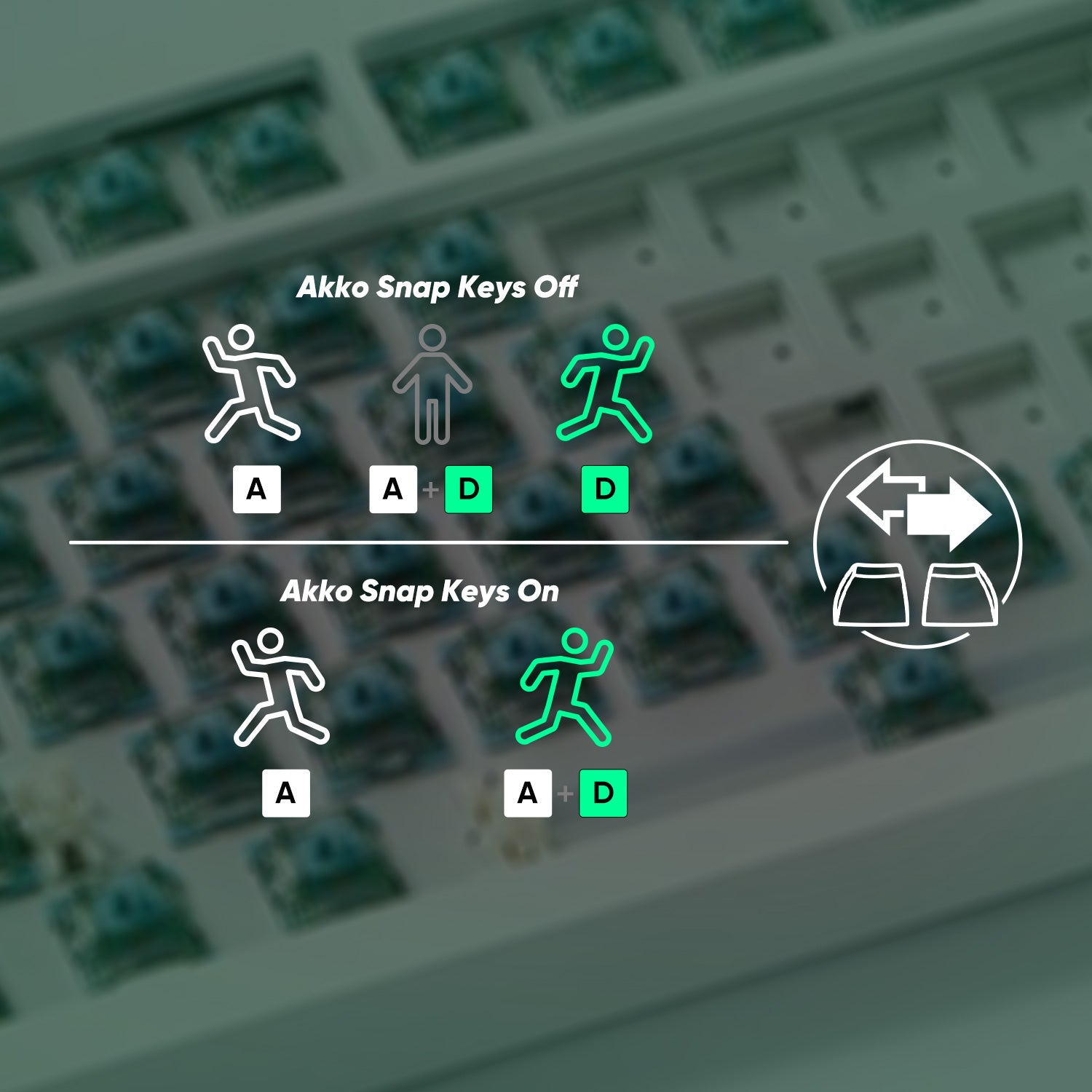 MonsGeek M1 V5 HE DIY Kit Snap Key