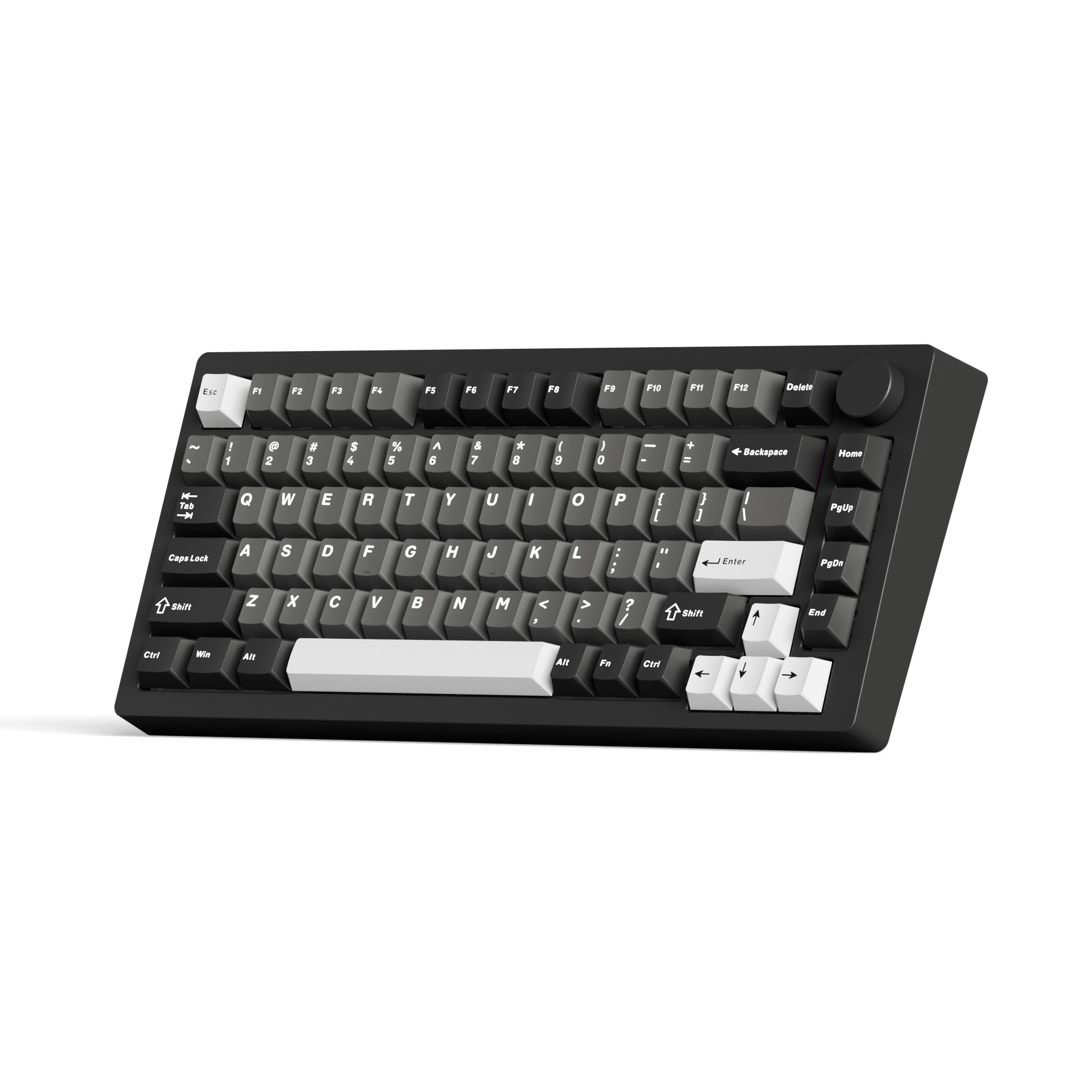 MonsGeek M1 V5- Black on White- Black & Silver