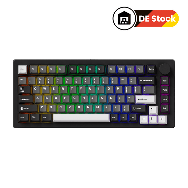 MonsGeek M1 V5- Black on White- Black & Silver