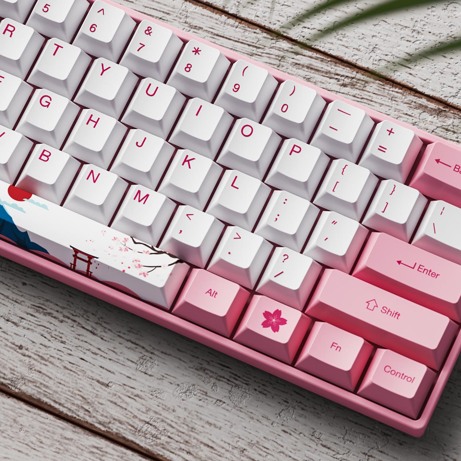 Akko World Tour Tokyo R2 Multi-Language SE (185-Key)