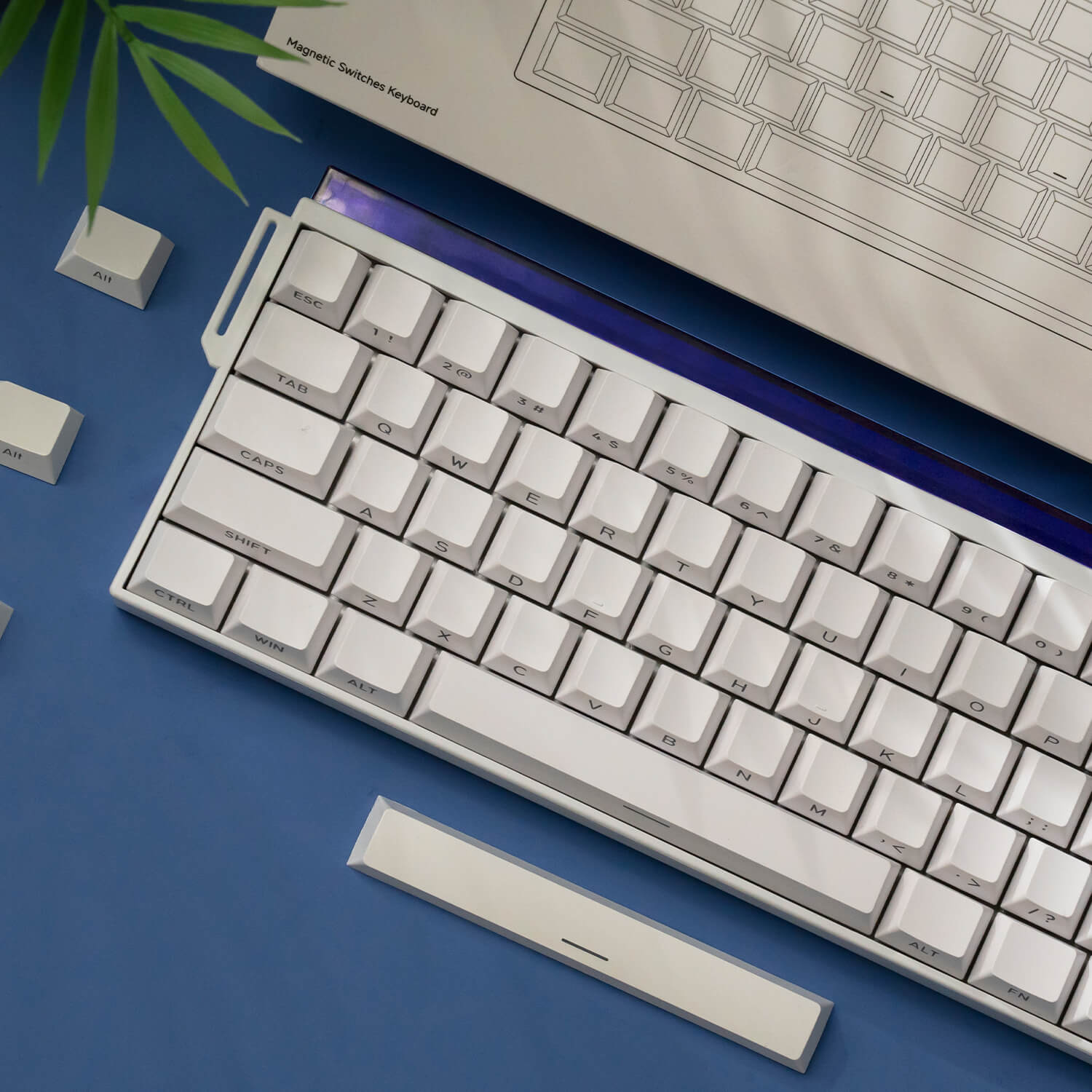 Shine60 HE Magnetic Keyboard