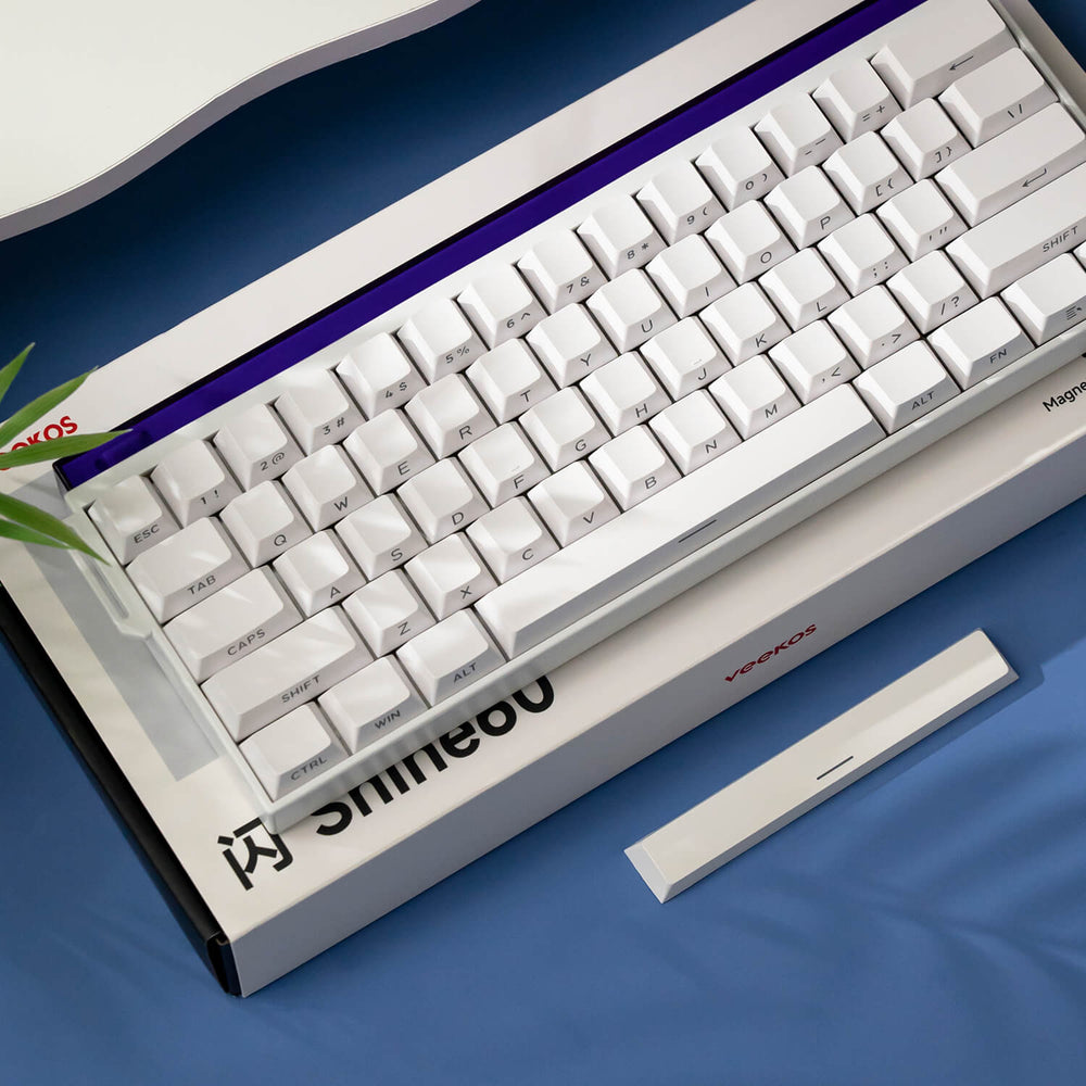 Akko Shine60 HE Magnetic Keyboard | Monsgeek EU