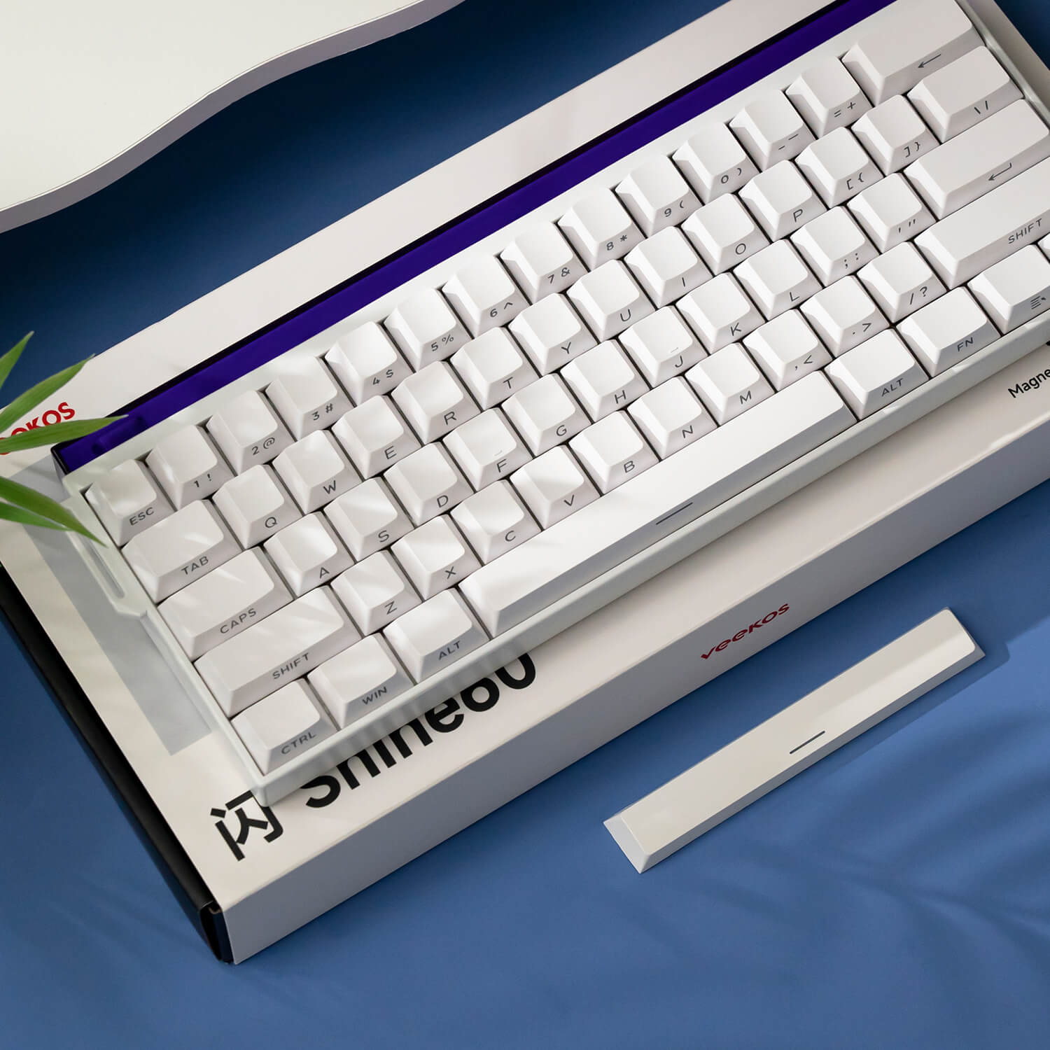 Shine60 HE Magnetic Keyboard