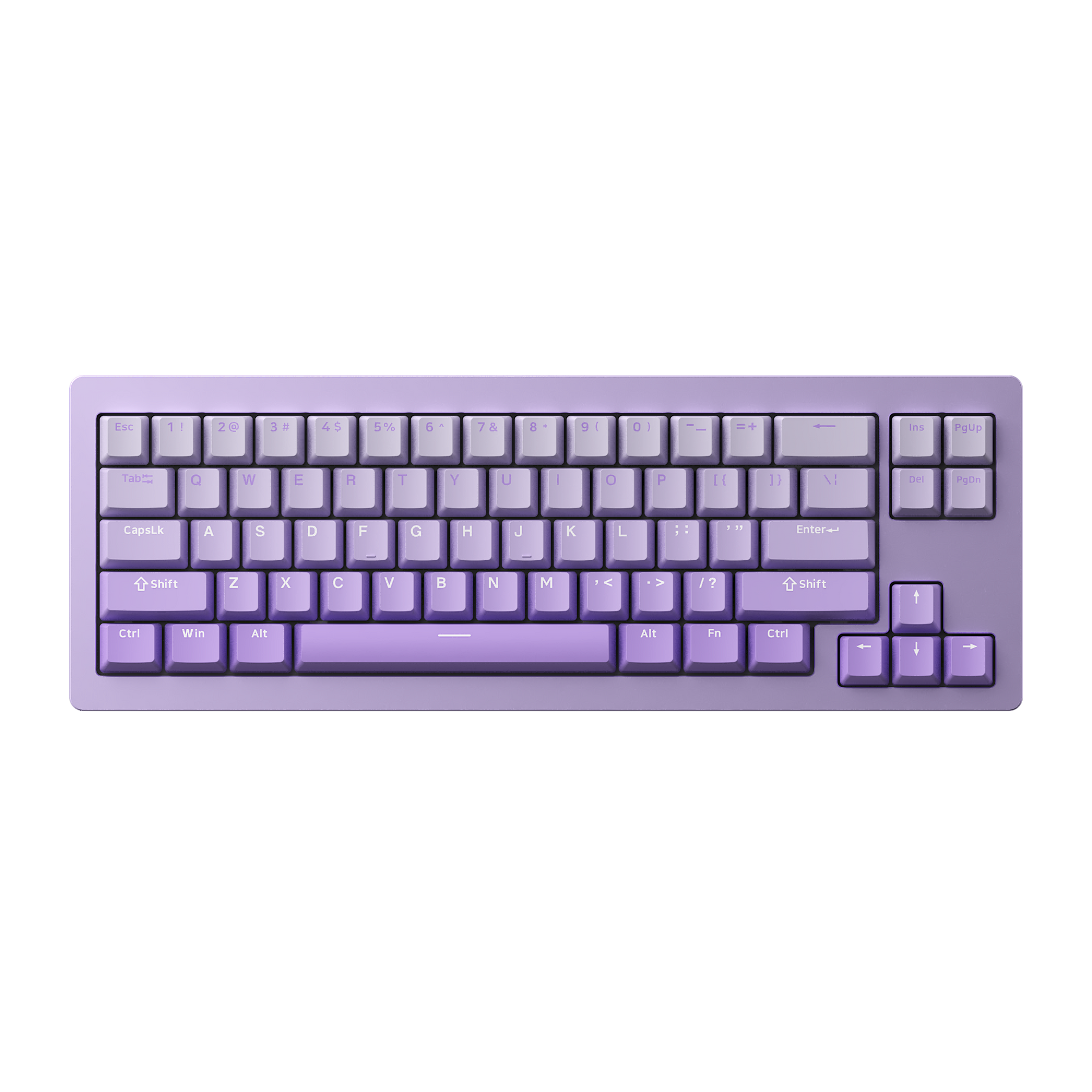 M7W-Purple-1.png?v=1699530075& M7W-Purple-1.png?v=1699530075&